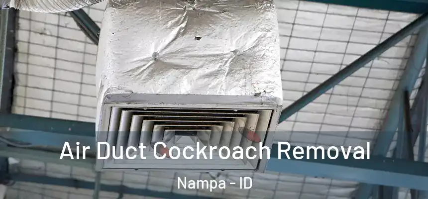 Air Duct Cockroach Removal Nampa - ID