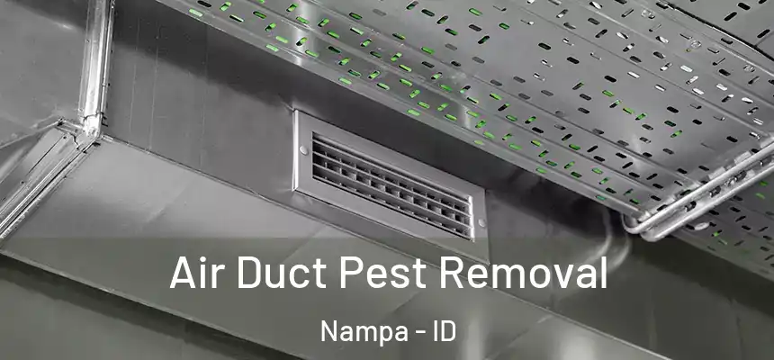  Air Duct Pest Removal Nampa - ID