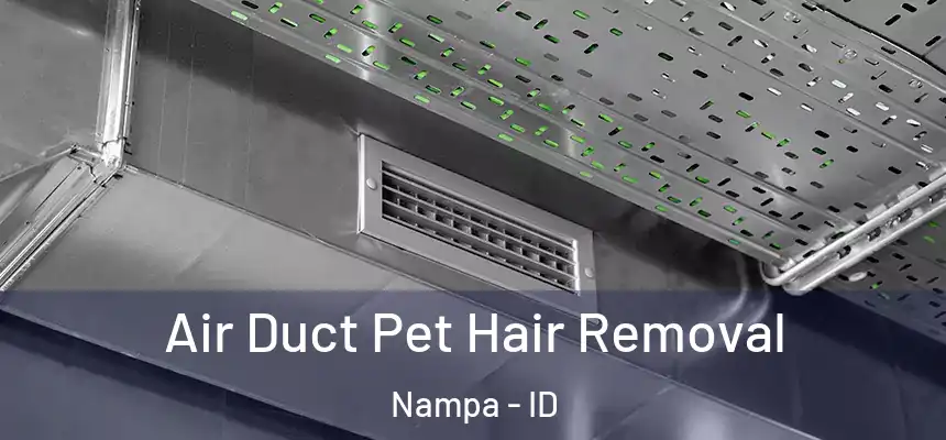 Air Duct Pet Hair Removal Nampa - ID