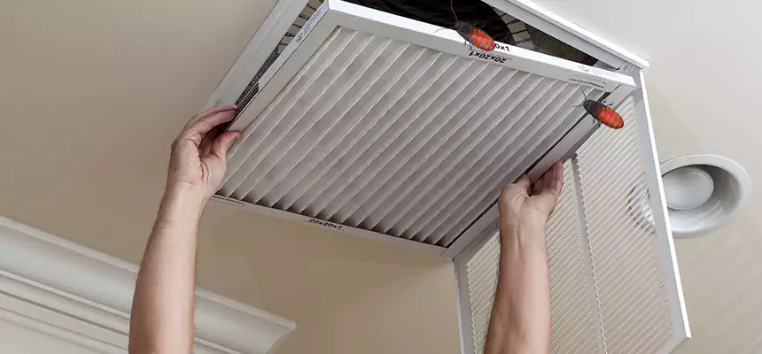 Preventive Cockroach-Proofing for Ducts in Nampa