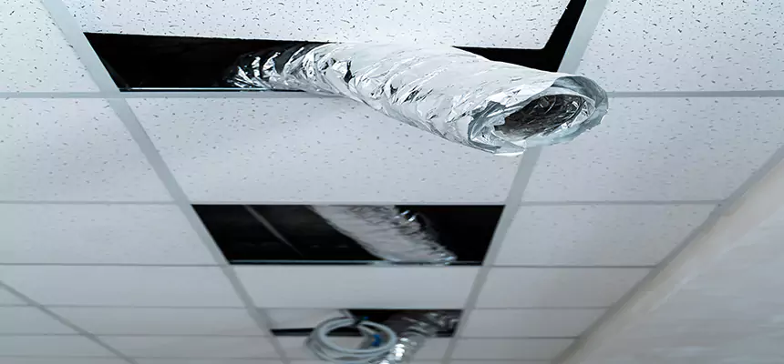 Affordable HVAC Sanitizing After Pest Removal in Nampa