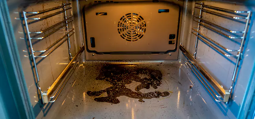 Our Dryer Vent Mold Cleaning Services in Nampa, ID