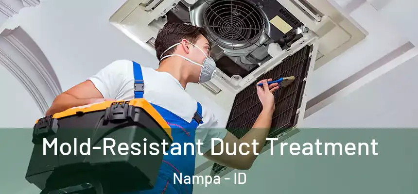  Mold-Resistant Duct Treatment Nampa - ID