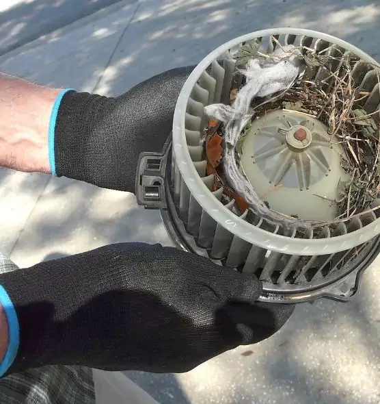 About Air Duct Mice Removal in Nampa, ID