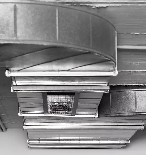 Professional Air Duct Pet Hair Removal in Nampa, ID