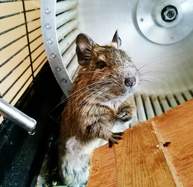 Why Homeowners & Businesses Trust Us Nampa, ID