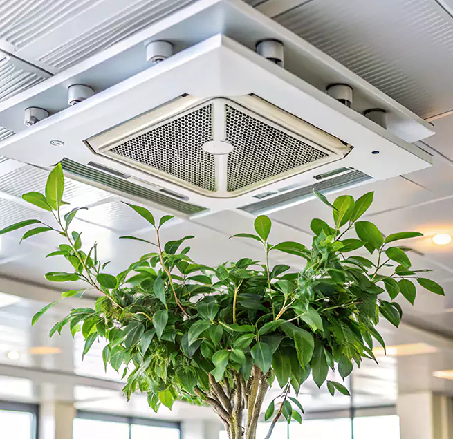 Why Homeowners & Businesses Trust Us in Nampa, ID?